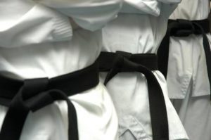 Martial Arts Online - Black Belt in 12 Months