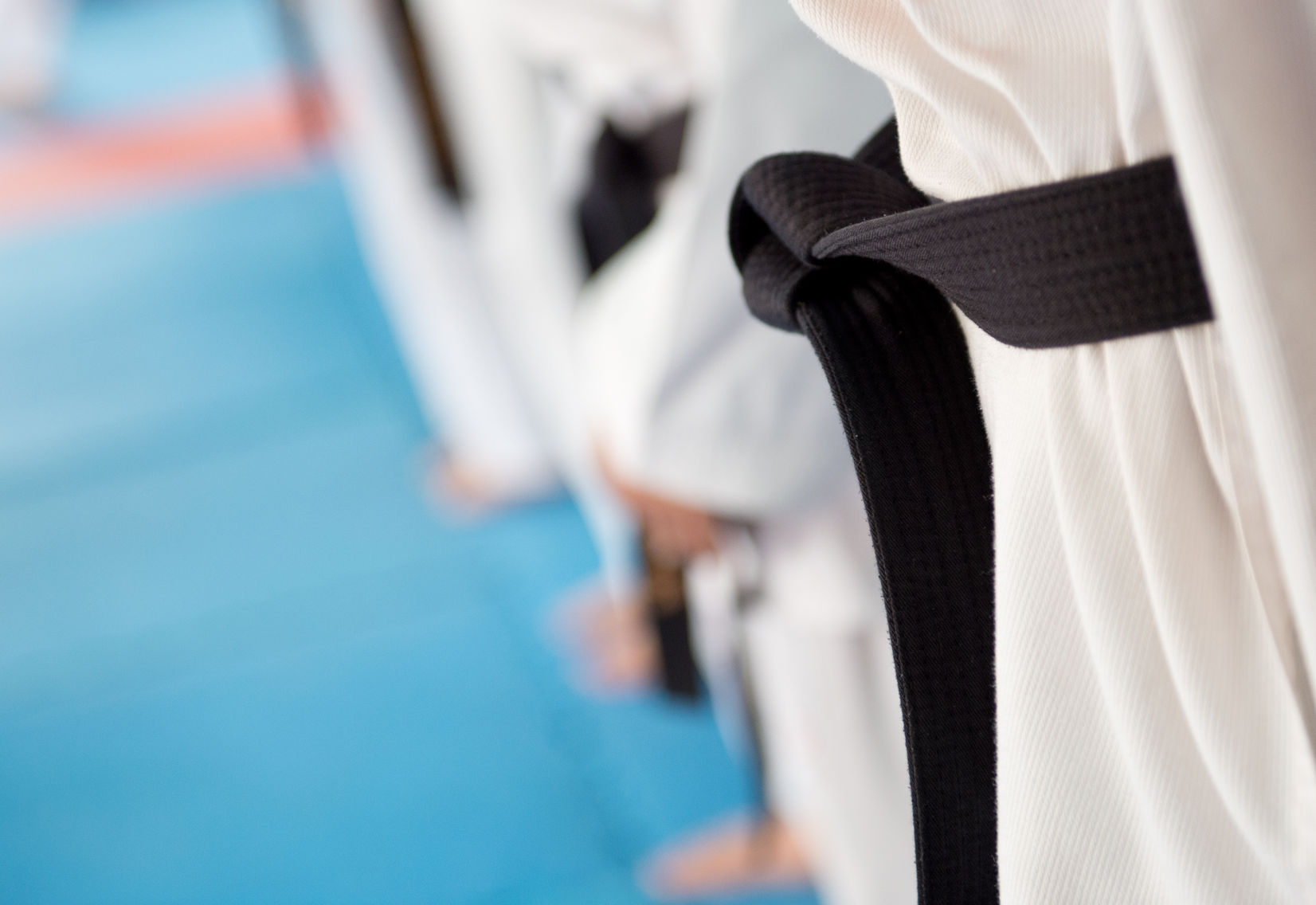 2nd Degree Black Belt Course Online | Karate Academy Online