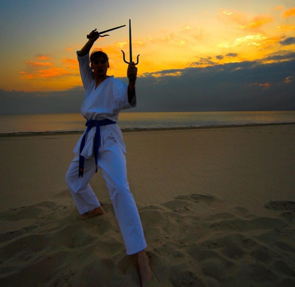 Online Martial Arts Weapons Courses Karate Academy Online