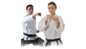 Online Martial Arts Course