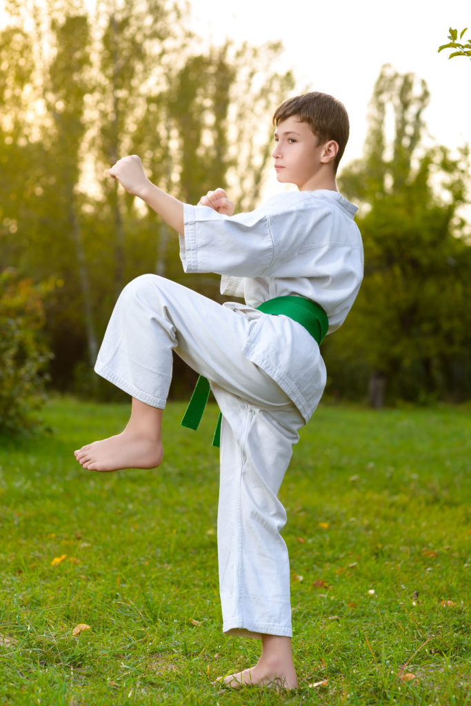 Martial Arts for Children Karate Academy Online