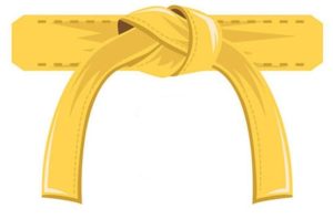 martial arts gold belt | Karate Academy Online