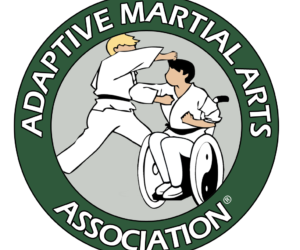 The AMAA and Online Martial Arts