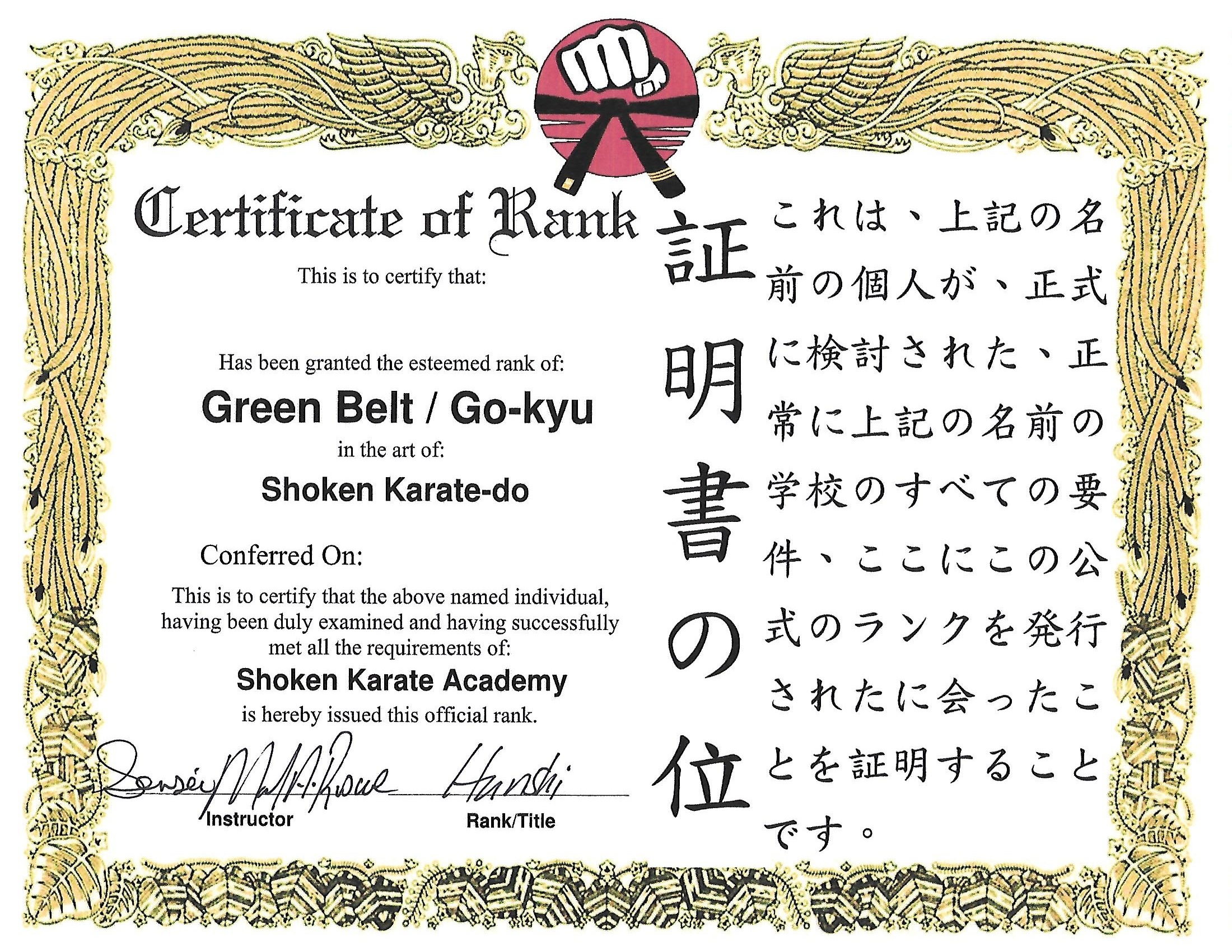 Green Belt | Karate Academy Online